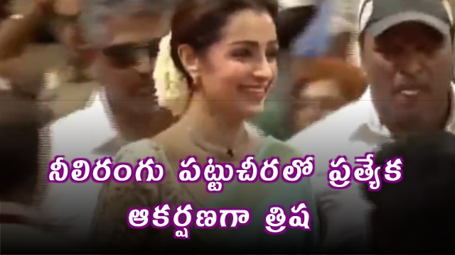 Vijay Sworn in as CM Trisha Attends Ceremony in Blue Saree