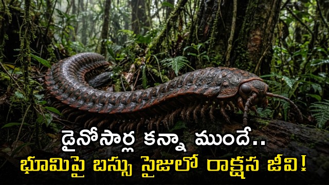 Arthropleura Giant Millipede Fossil Found Older Than Dinosaurs