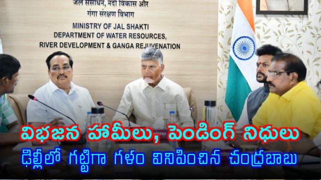 Chandrababu Urges Release of Funds for Andhra Pradesh in Delhi