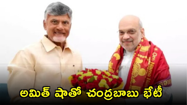 Chandrababu Naidu Meets Amit Shah in Delhi
