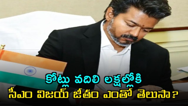 Vijay New Tamil Nadu CM Salary Details Revealed