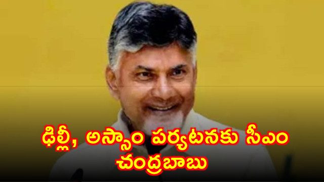 Chandrababu Naidu to Visit Delhi and Assam