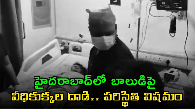 Hyderabad Boy Aadvik Severely Injured in Street Dog Attack