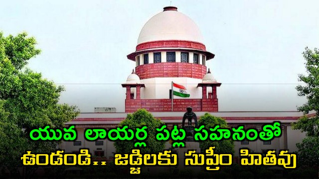 Supreme Court Be Tolerant with Young Lawyers