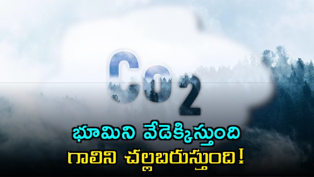 Carbon Dioxide Heats Earth Cools Air Study Reveals