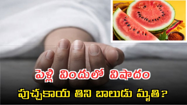 Chhattisgarh Boy Dies After Suspected Food Poisoning at Wedding