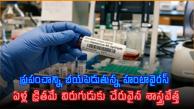 Hantavirus Scientists Were Close To Vaccine But Ran Out of Money