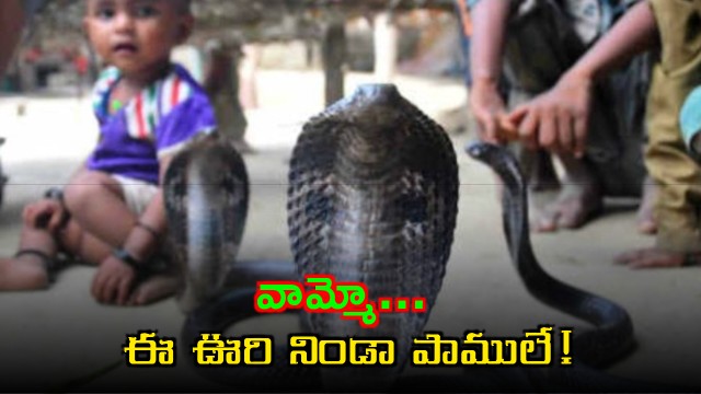 Shetphal Village Maharashtra Home to Cobras