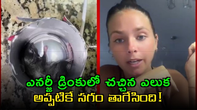Energy Drink Woman Finds Dead Rat Viral Video