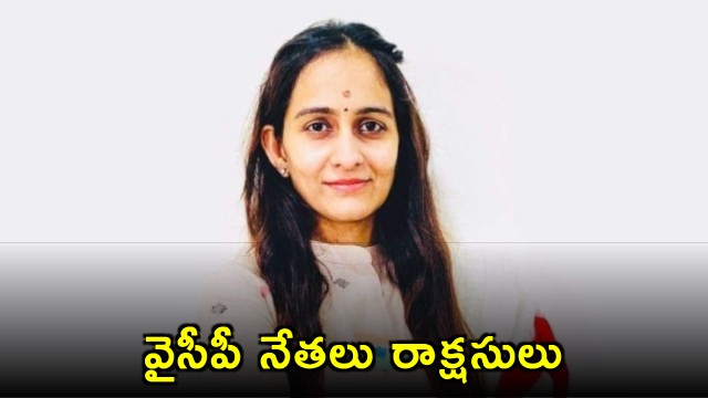 Byreddy Sabari Slams SV Mohan Reddy and YSRCP