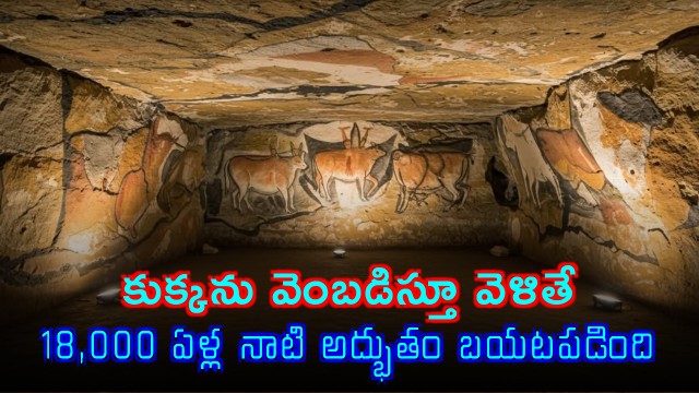 Lascaux Cave Dog Leads to Discovery of 18000 Year Old Cave Art in France