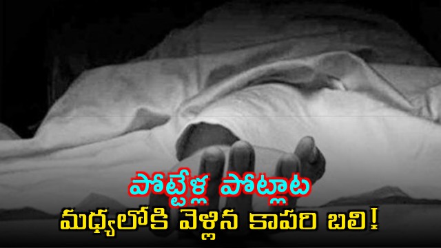 Kutumba Rao Goatherd Dies Trying to Stop Sheep Fight in Khammam