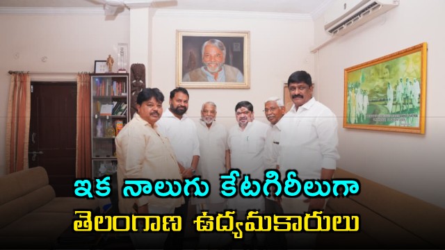 Telangana Movement Activists Classified into Four Categories