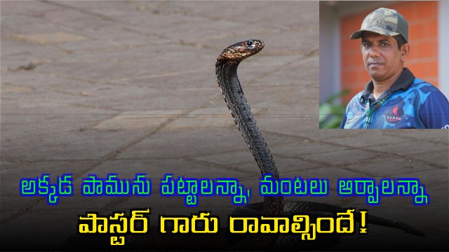 Charlie Varghese The Pastor Who Rescues Snakes and Fights Fires in Kerala