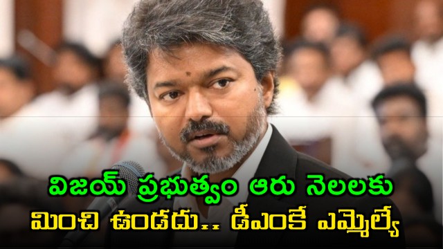 DMK MLA Predicts Vijay Government Collapse in 6 Months
