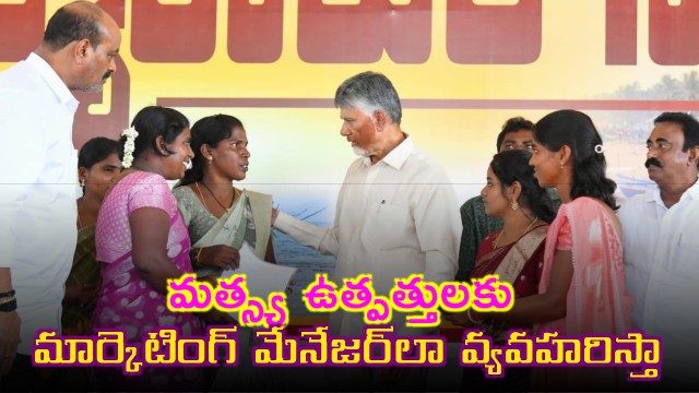 Chandrababu Naidu to Act as Marketing Manager for Fishery Products