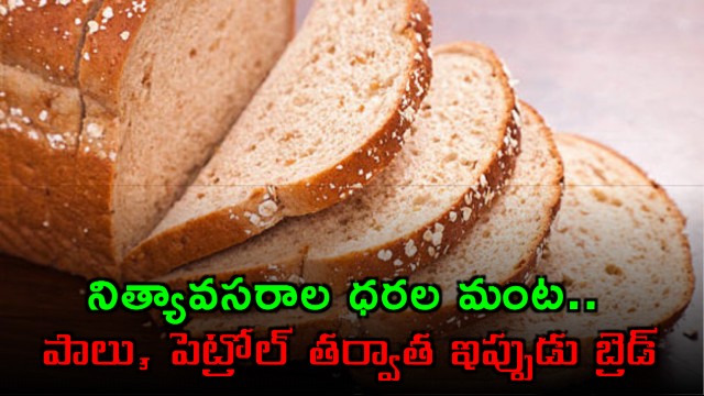 Bread Price Hike in Mumbai Due to Rising Costs