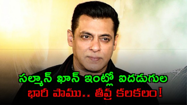 Salman Khan House Snake Scare at Galaxy Apartment Mumbai
