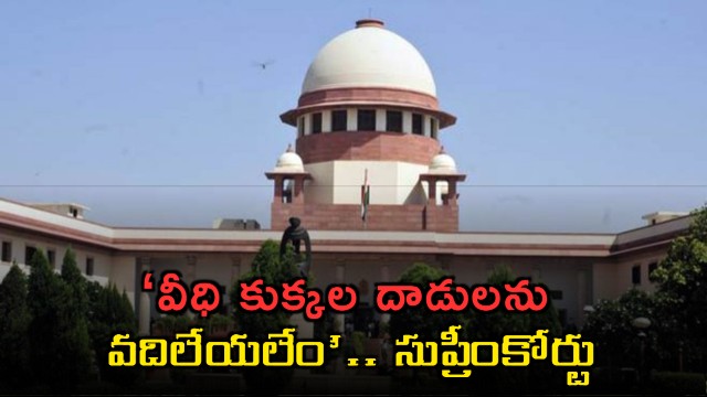 Supreme Court directs permanent relocation of street dogs