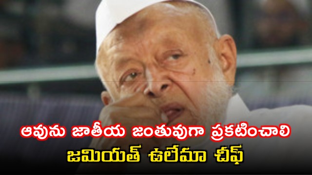 Arshad Madani calls for cow to be declared national animal