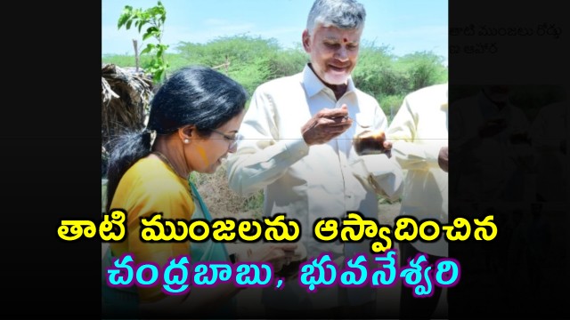 Chandrababu Naidu Enjoys Palm Fruit with Bhuvaneshwari on Roadside
