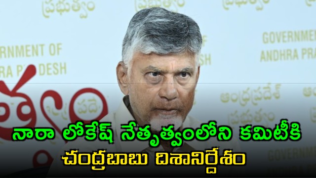 Chandrababu Directs Nara Lokesh Committee on Investments