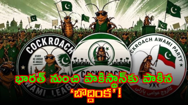 Cockroach Party Trend Spreads from India to Pakistan