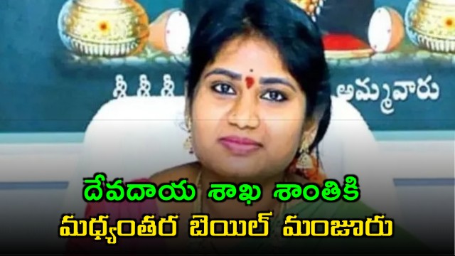 Shanti Gets Interim Bail in Disproportionate Assets Case