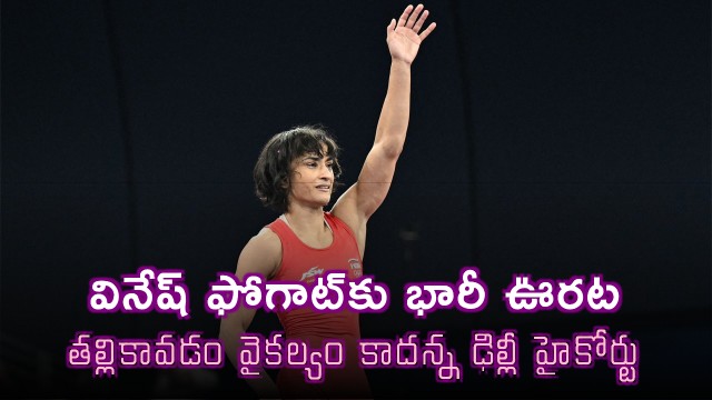 Vinesh Phogat Relief Delhi High Court Says Motherhood Not Disability