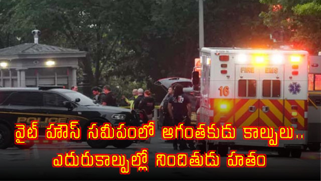 White House Shooting Near US Presidents Residence Suspect Dead