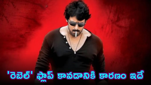Prabhas Rebel Movie Failure Reasons Explained by Darling Swamy