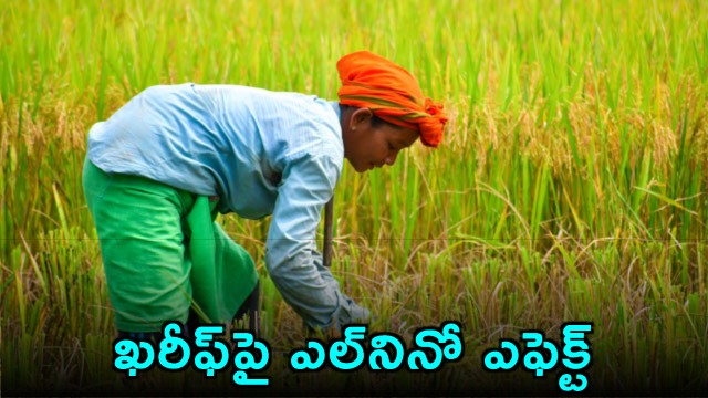 El Nino Effect Central Government Action on Kharif Season