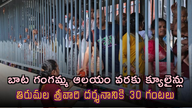 Tirumala Queue Lines Extend to Bata Gangamma Temple 30 Hours for Darshan