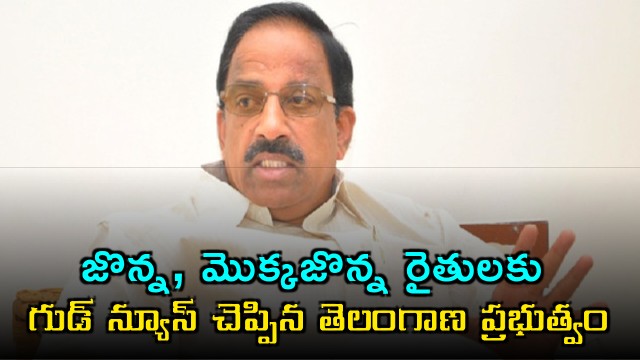 Revanth Reddy Government Announces Good News for Jonna Maize Farmers