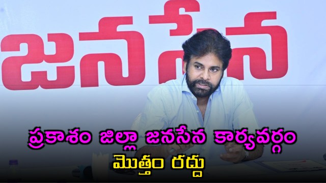 Pawan Kalyan Announces Key Decision Prakasam District Janasena Committee Dissolved