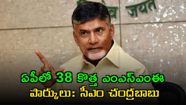 Chandrababu Naidu Launches 38 New MSME Parks in Andhra Pradesh
