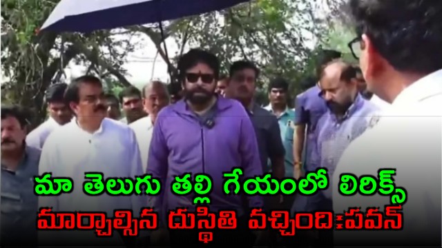 Pawan Kalyan Distressed Over Telugu Talli Poem and River Pollution