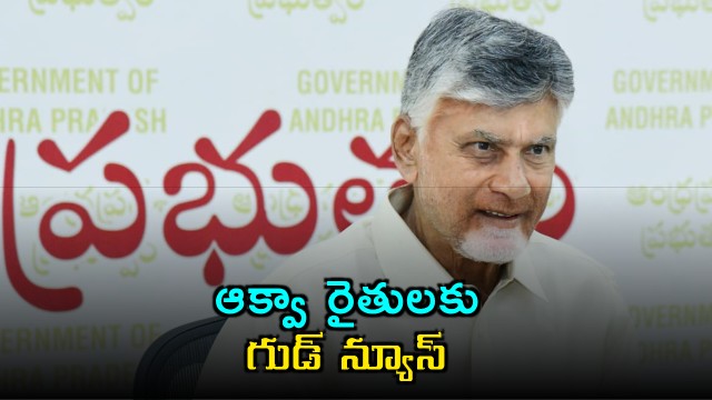 Chandrababu Naidu Announces Good News for Aqua Farmers