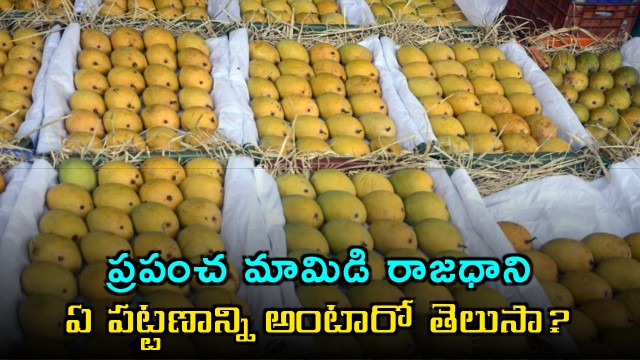 Malihabad Uttar Pradesh The World Capital of Mangoes