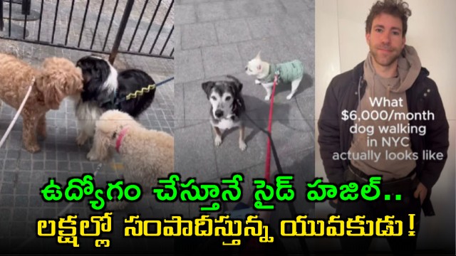 Koby Goodheart Techie earns lakhs walking dogs as side hustle