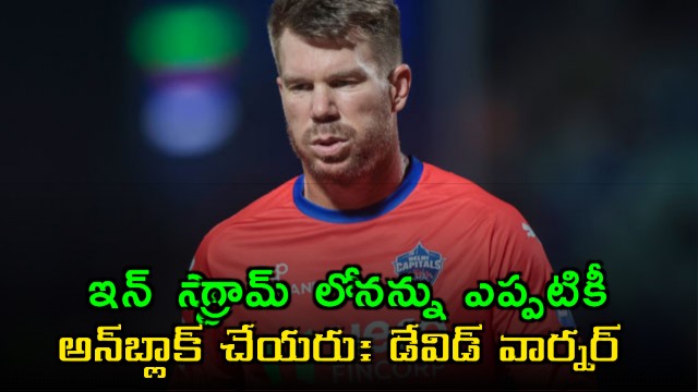 David Warner Feels Sunrisers Hyderabad Will Never Unblock Him On Instagram