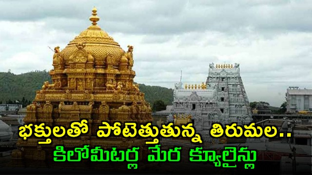 Tirumala Crowded with Devotees Kilometers Long Queue Lines
