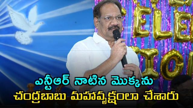 Nakka Anand Babu Chandrababu Transformed NTRs Plant into a Giant Tree