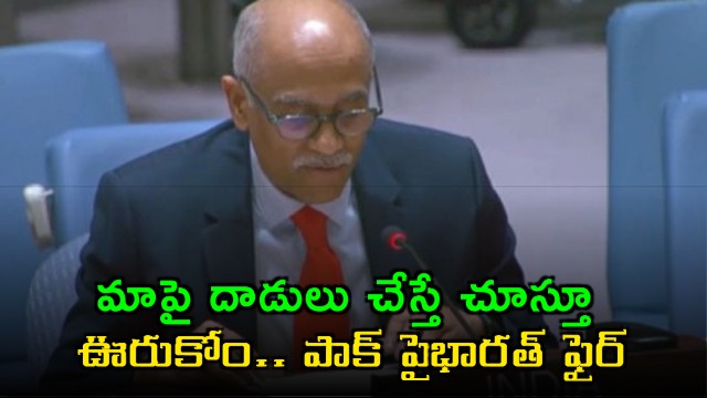 Harish Parvathaneni India Warns Pakistan at UN over Terror Attacks