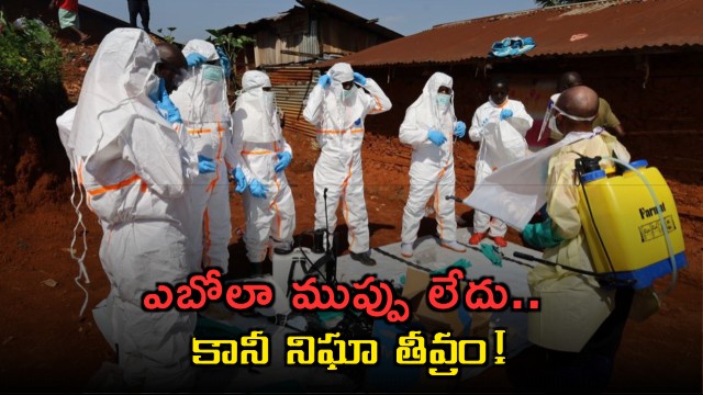 Ebola Virus No threat in India but surveillance intensified