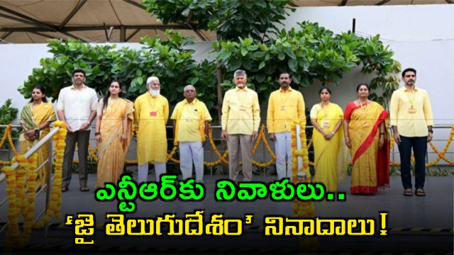 NTR Tribute Jai Telugu Desam Slogans at Mahanadu