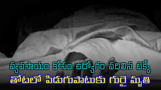 Former IT Employee Roshan Balakrishna Dies in Lightning Strike While Visiting Farm