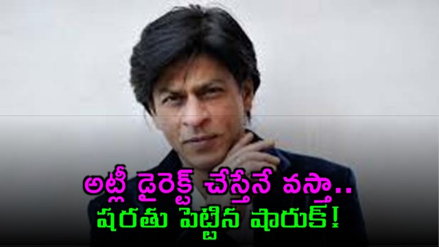 Shah Rukh Khan Condition for Don 3 Atlee Directorial
