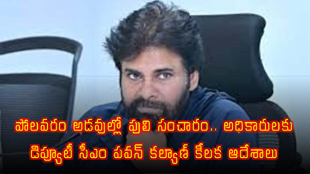 Pawan Kalyan Orders Alert on Tiger Movement in Polavaram