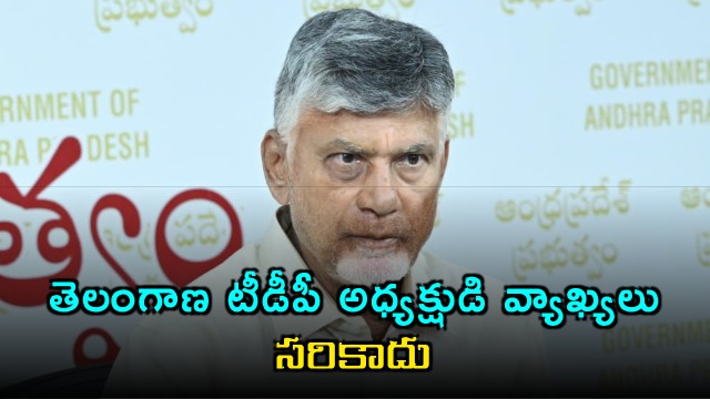 Chandrababu Condemns Telangana TDP Presidents Comments